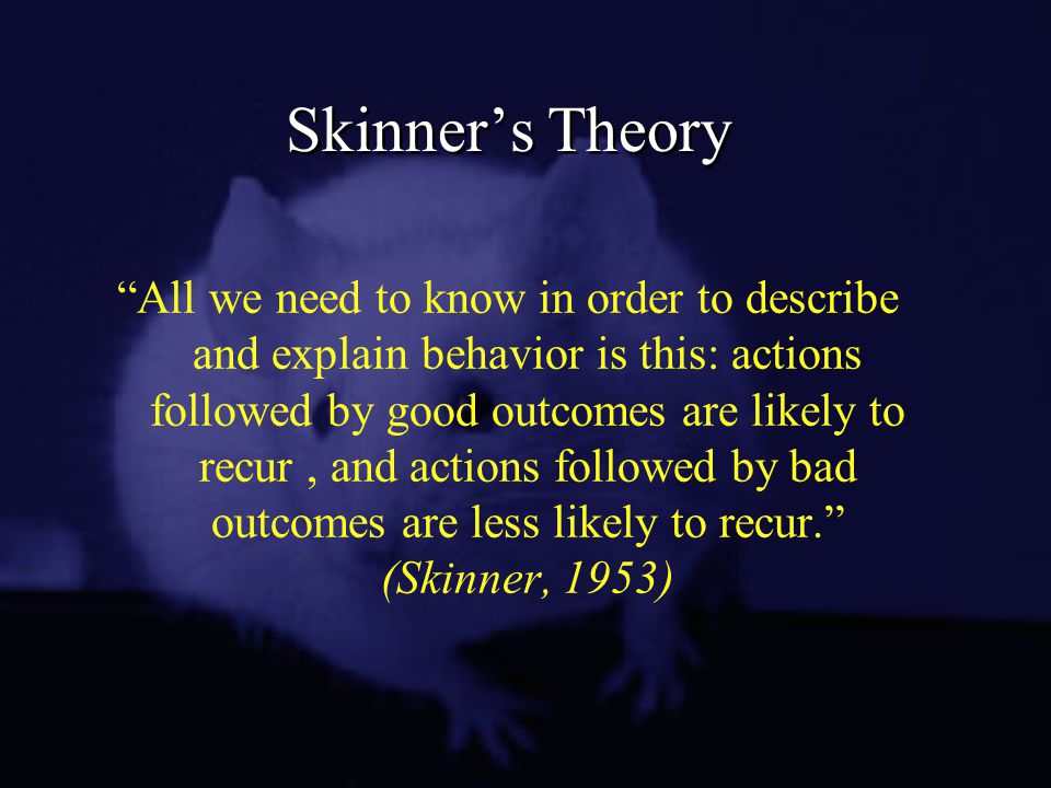 Skinner's Behavioral Theories